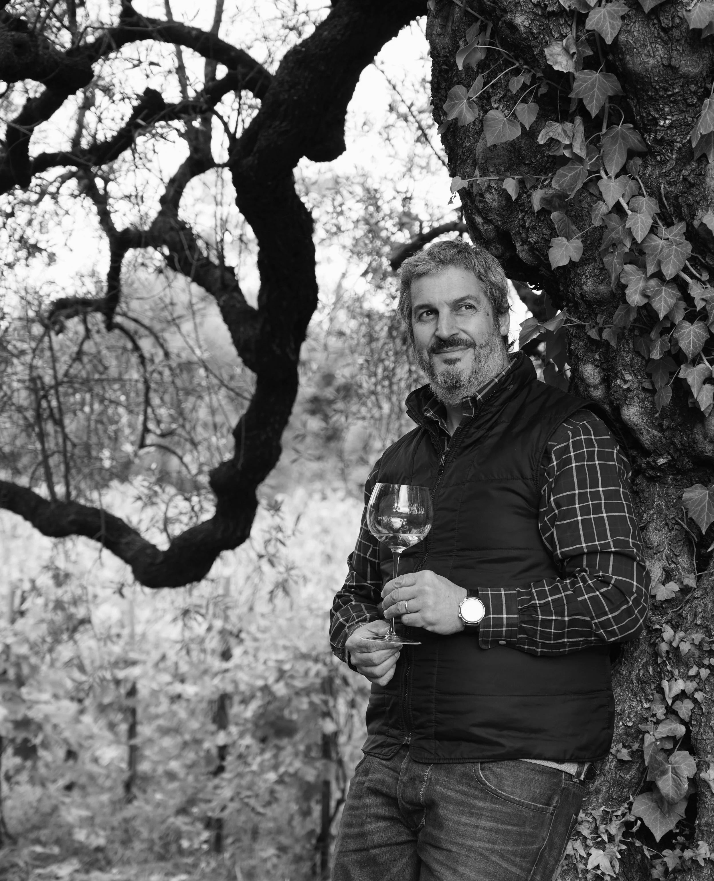 Roscioli Wine Club