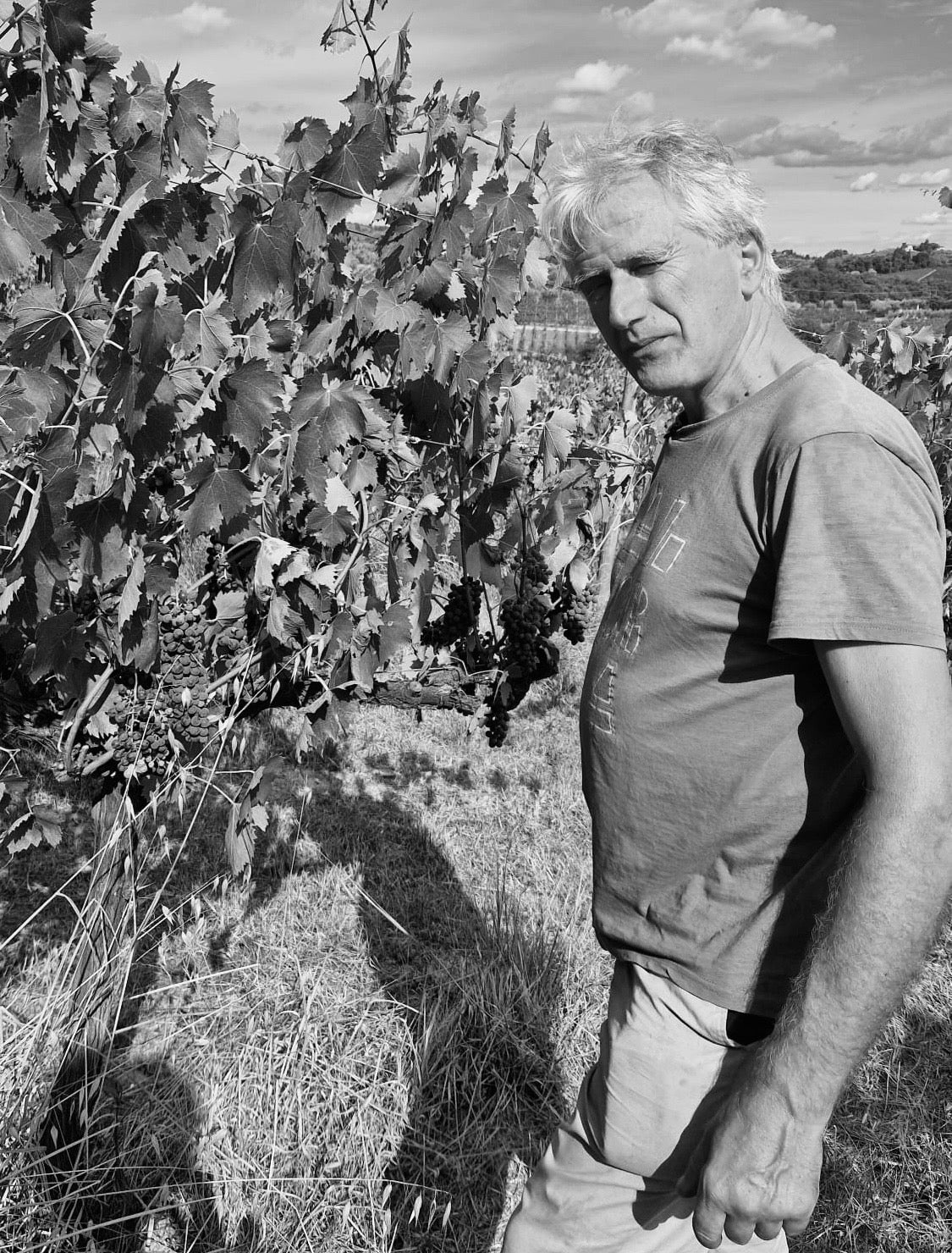 Roscioli Wine Club