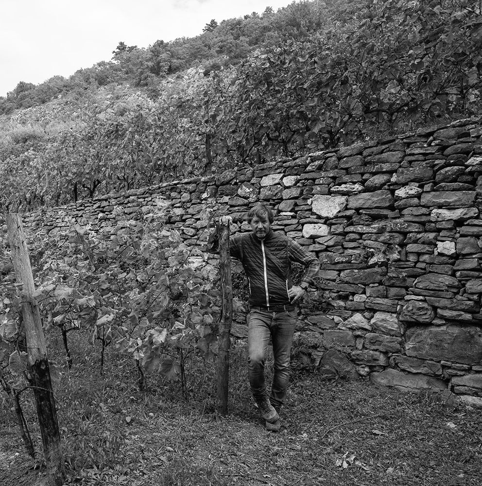 Roscioli Wine Club